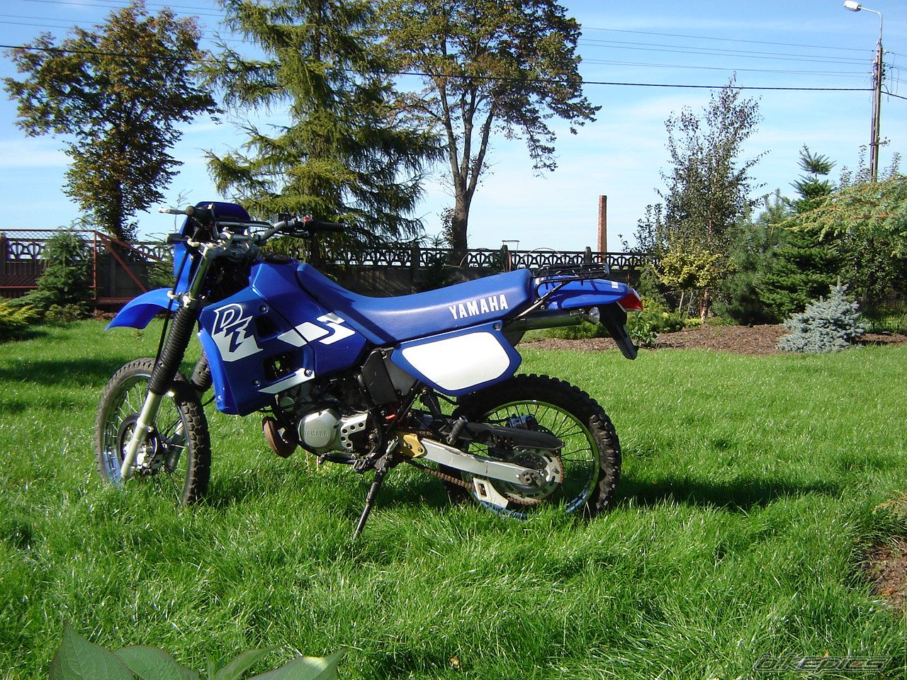 Photo 1025452