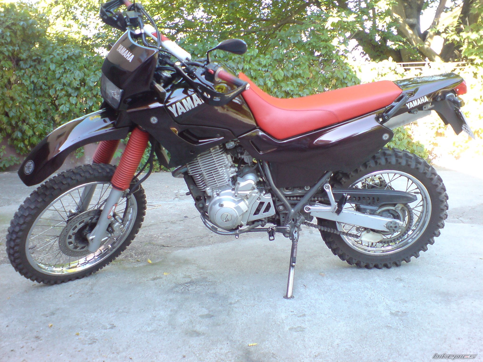 Photo 1025465