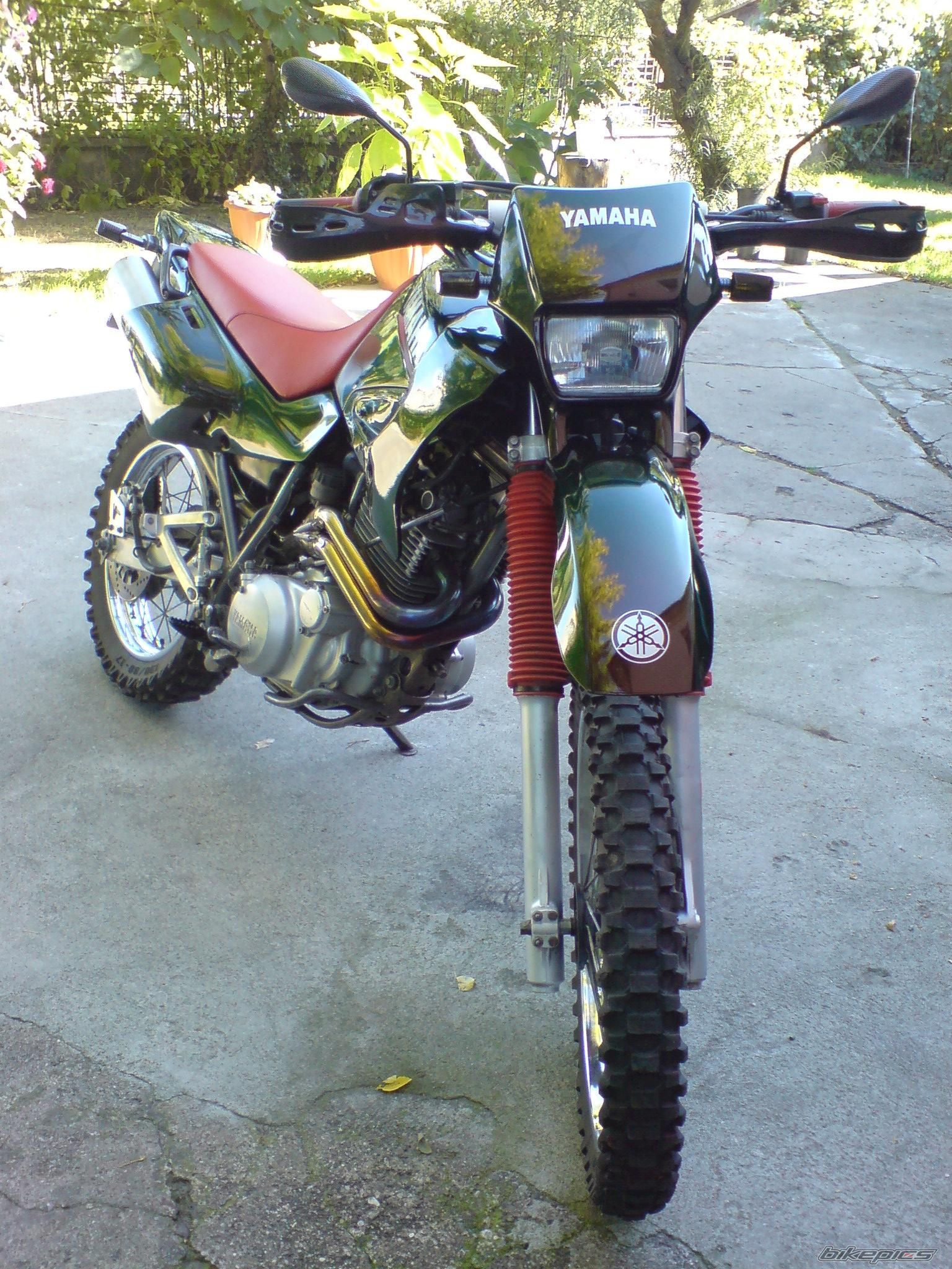 Photo 1025507
