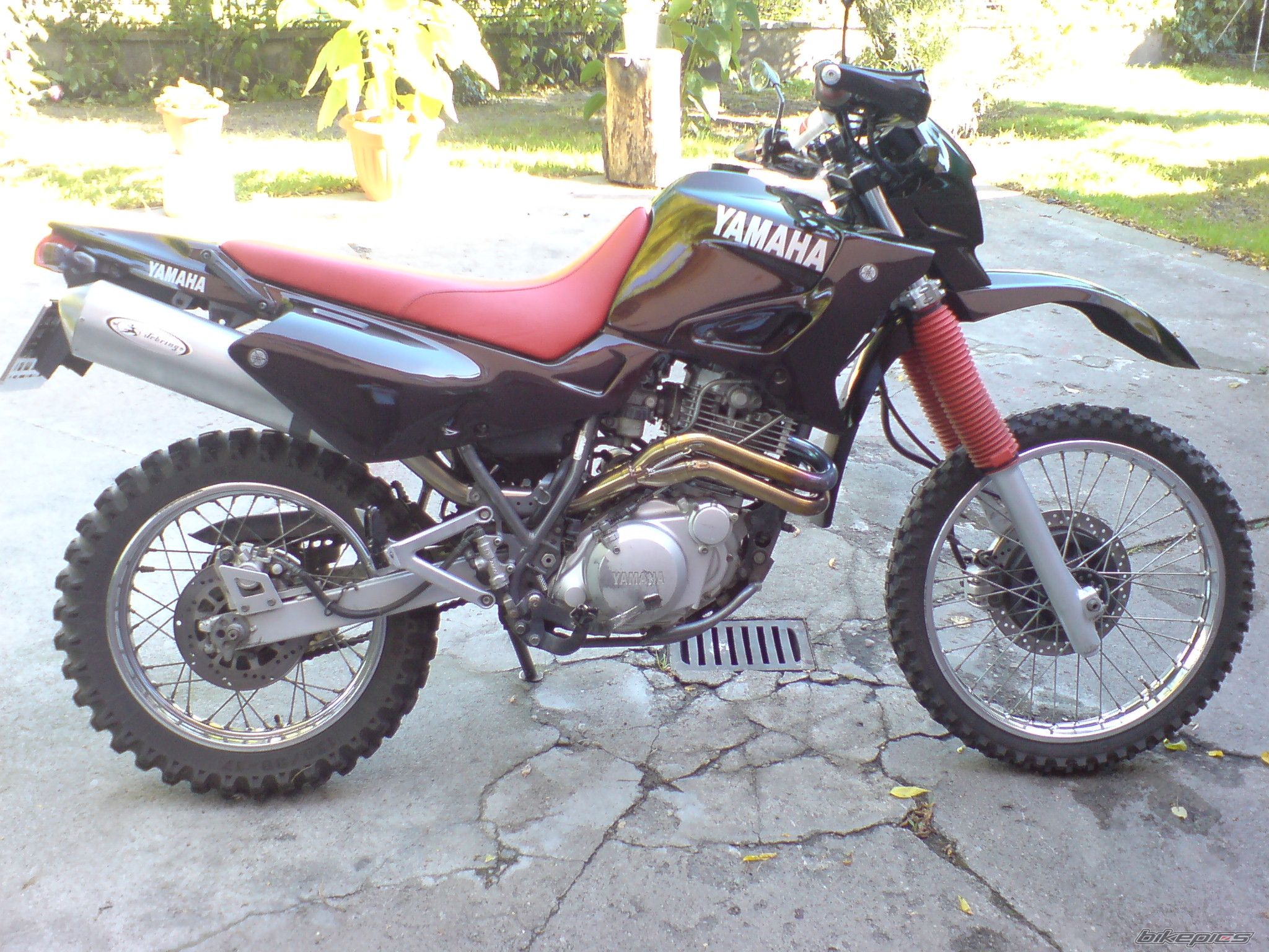 Photo 1025512