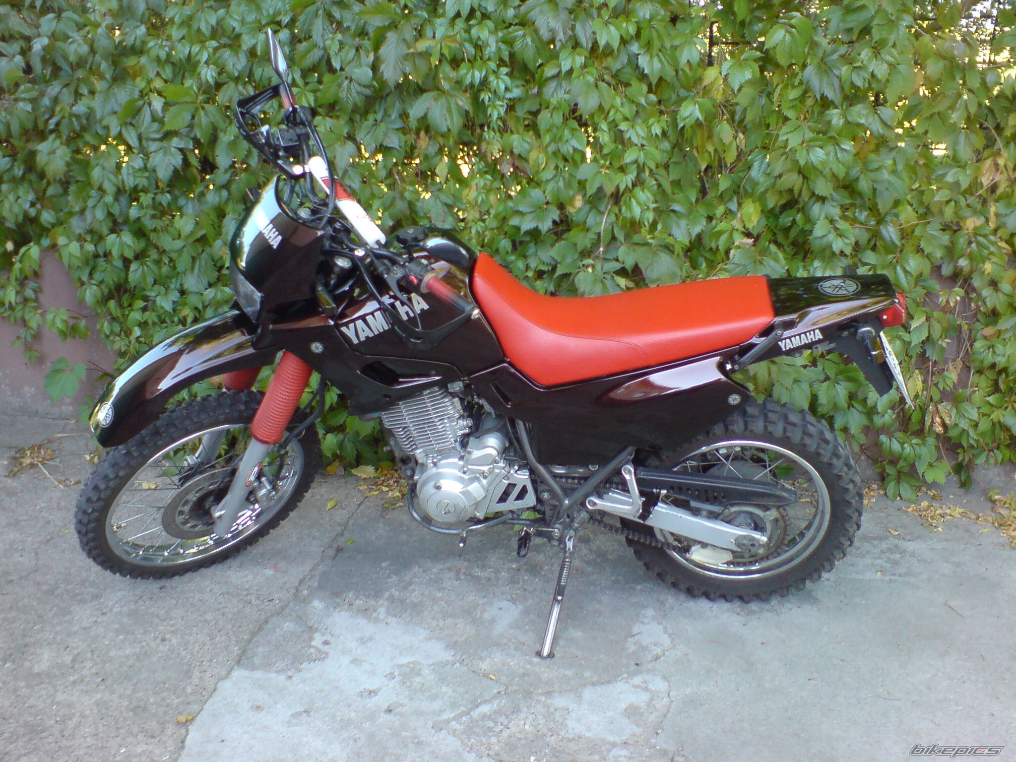 Photo 1025516