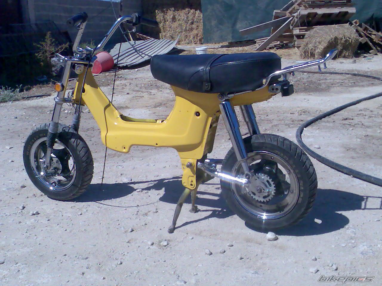 Photo 1025562