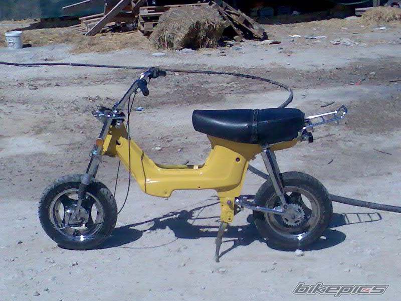 Photo 1025563