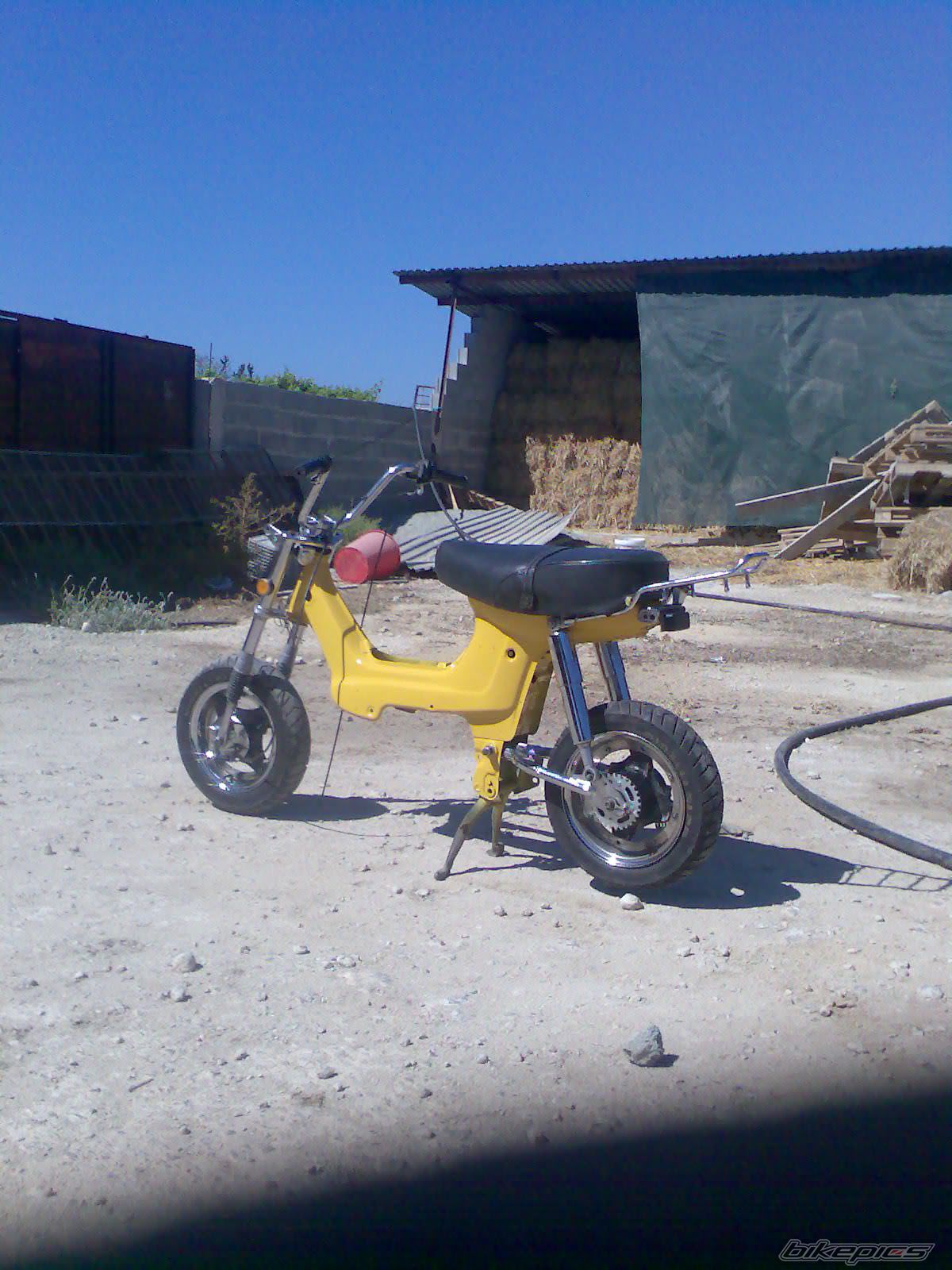 Photo 1025566