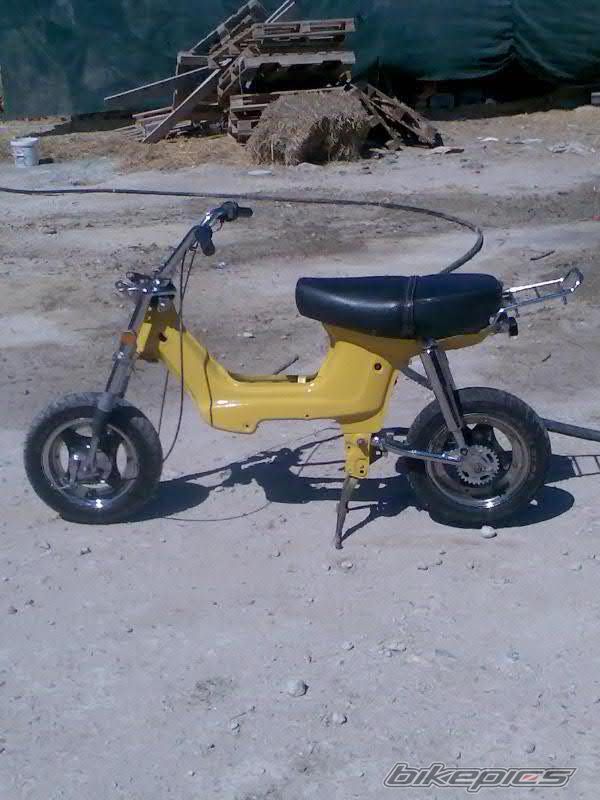 Photo 1025567