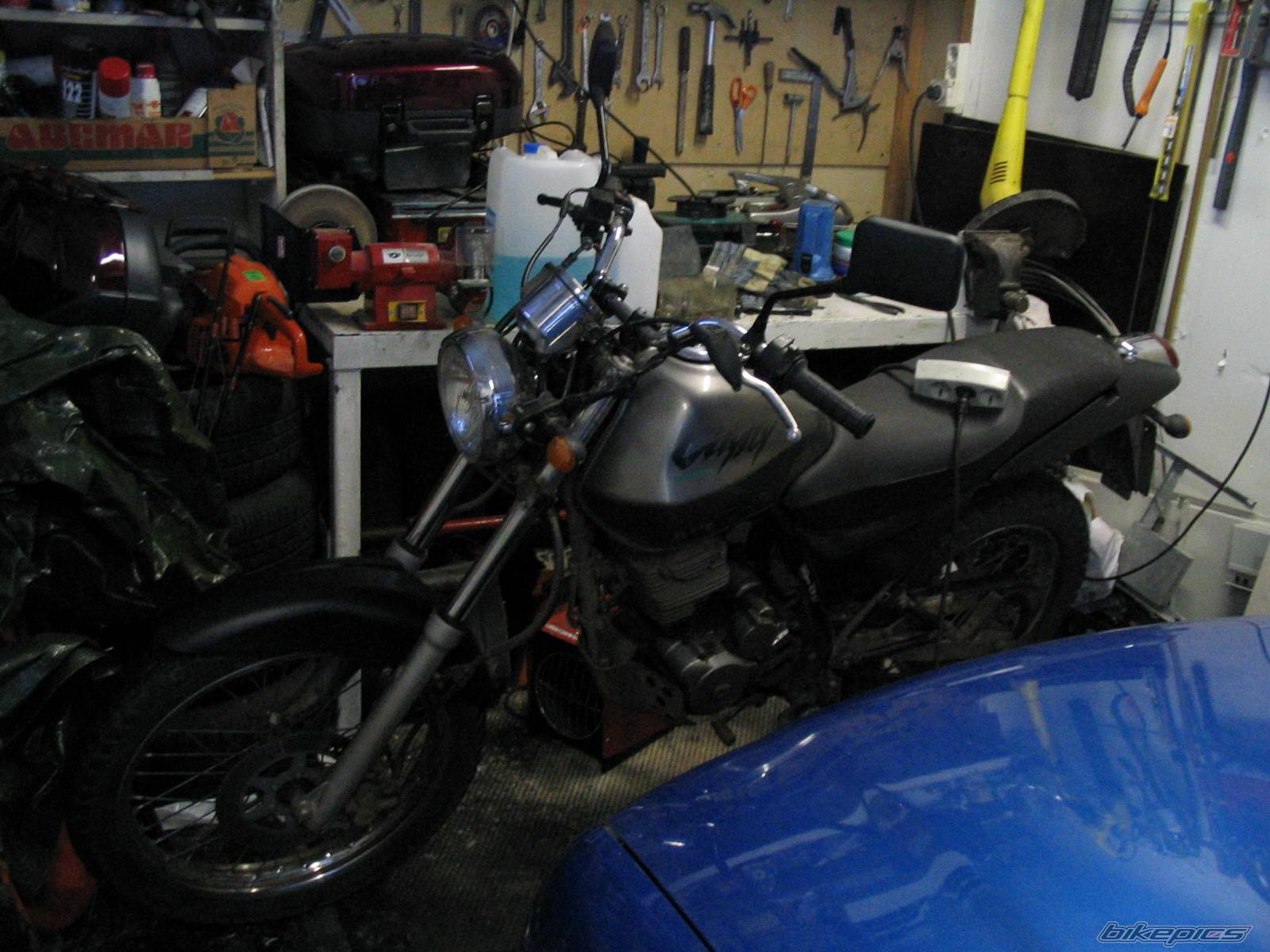 Photo 102557