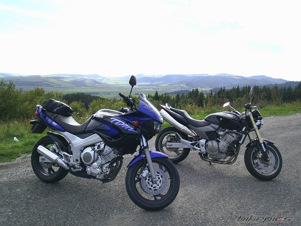 Photo 1025729