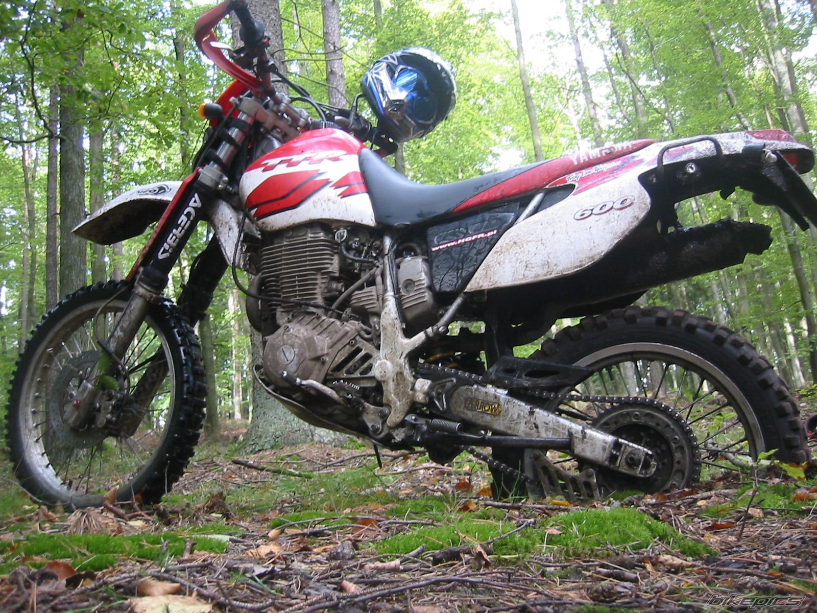 Photo 1025746