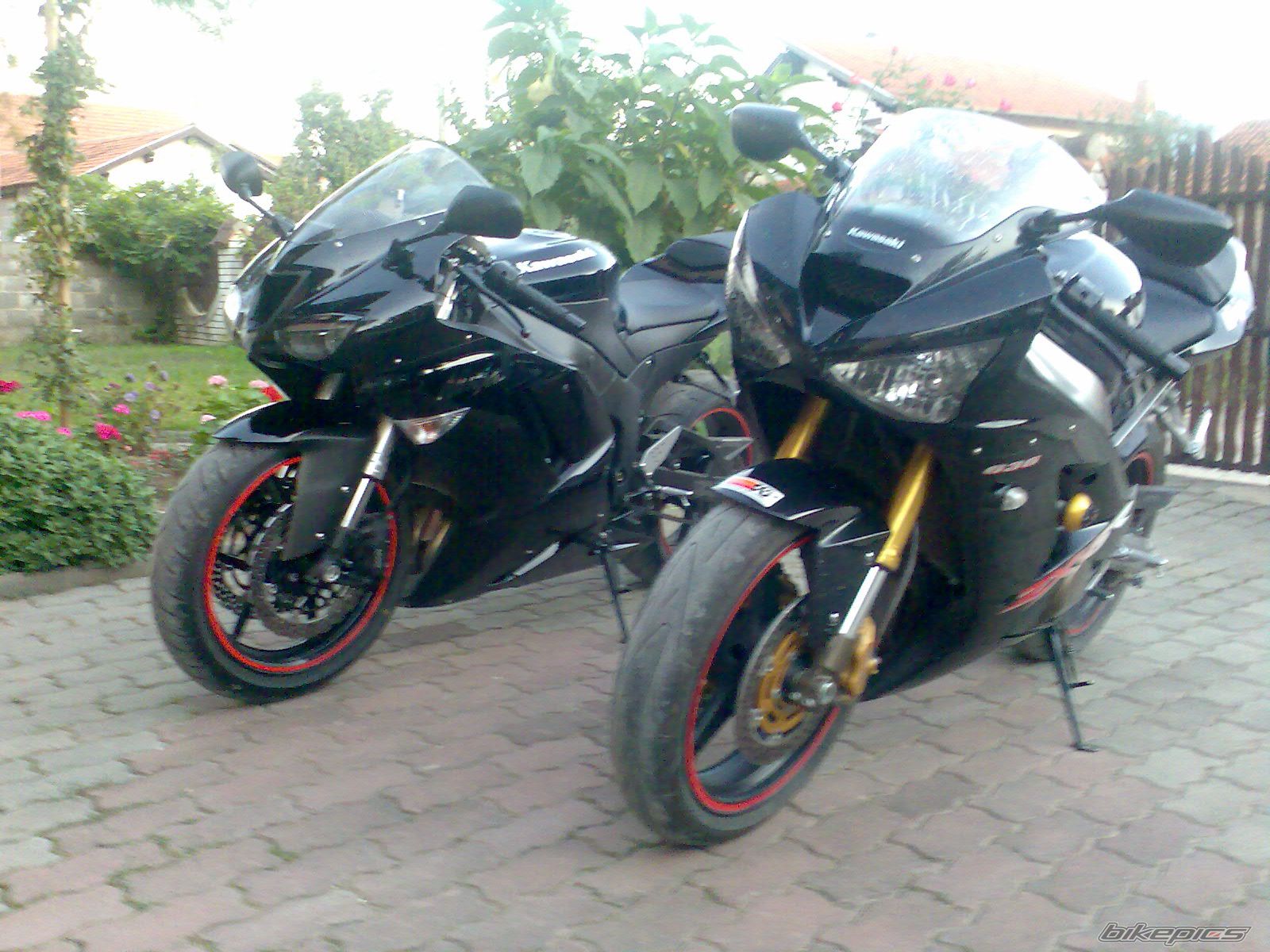 Photo 1025774