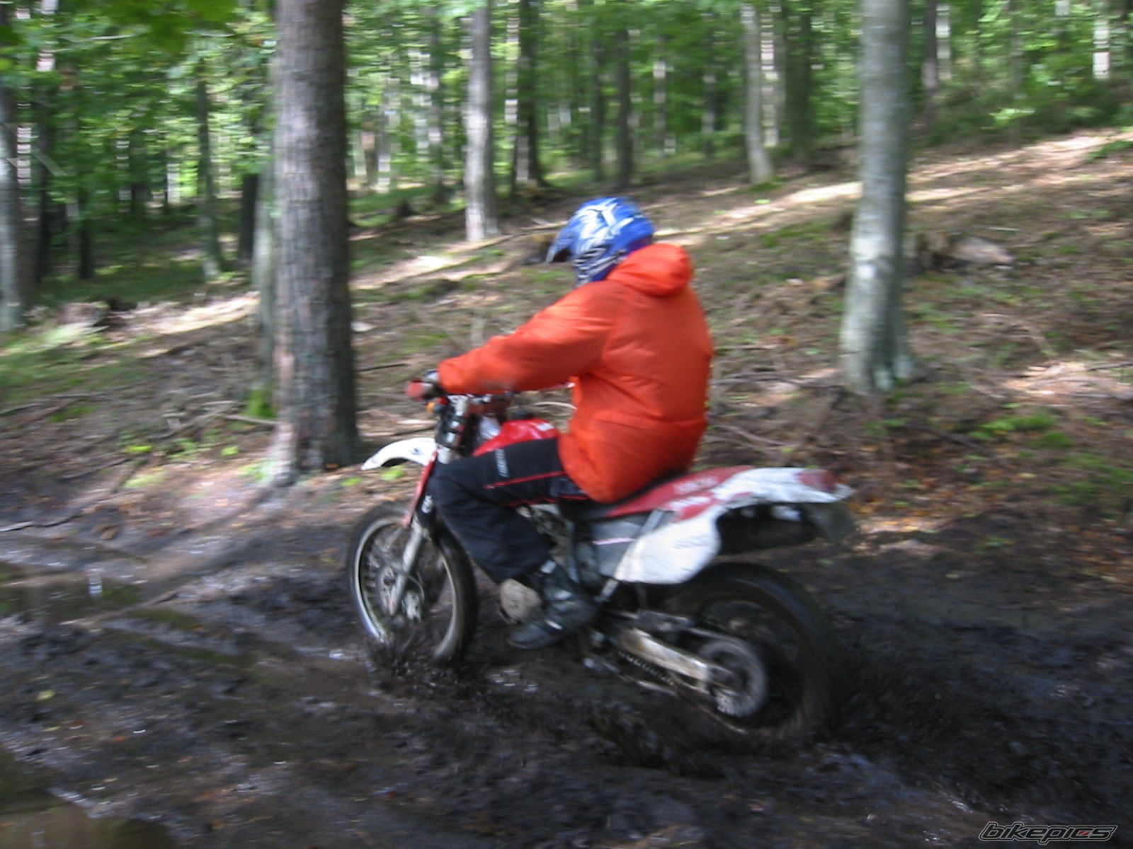 Photo 1025780
