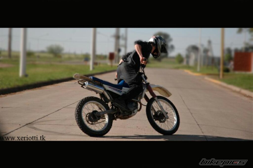 Photo 1025814