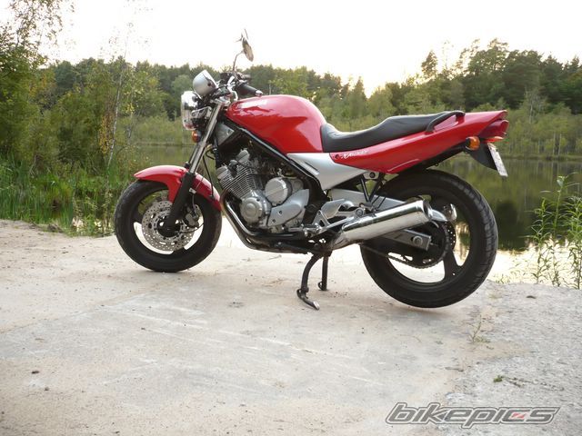 Photo 1025828