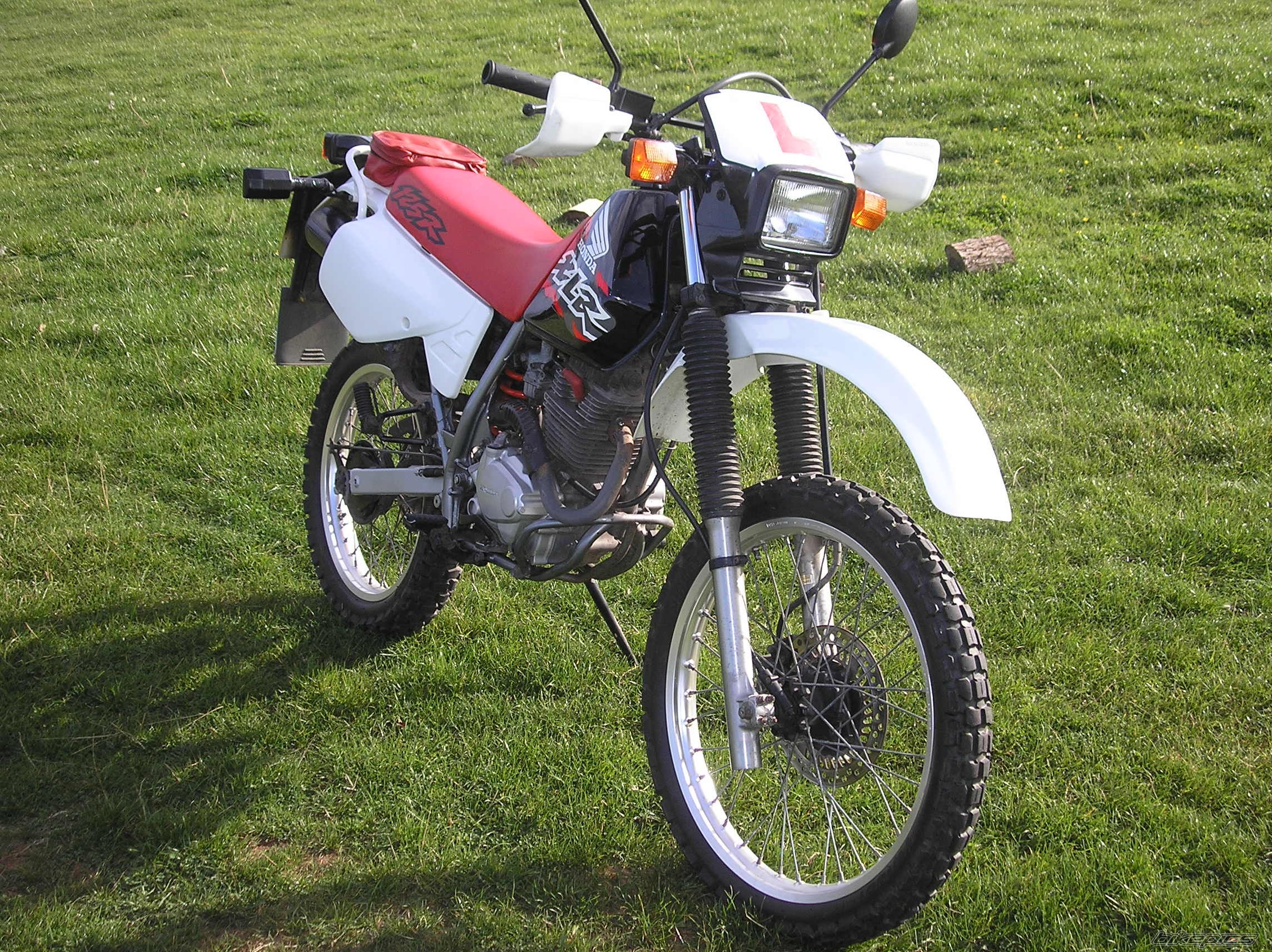 Photo 1025837