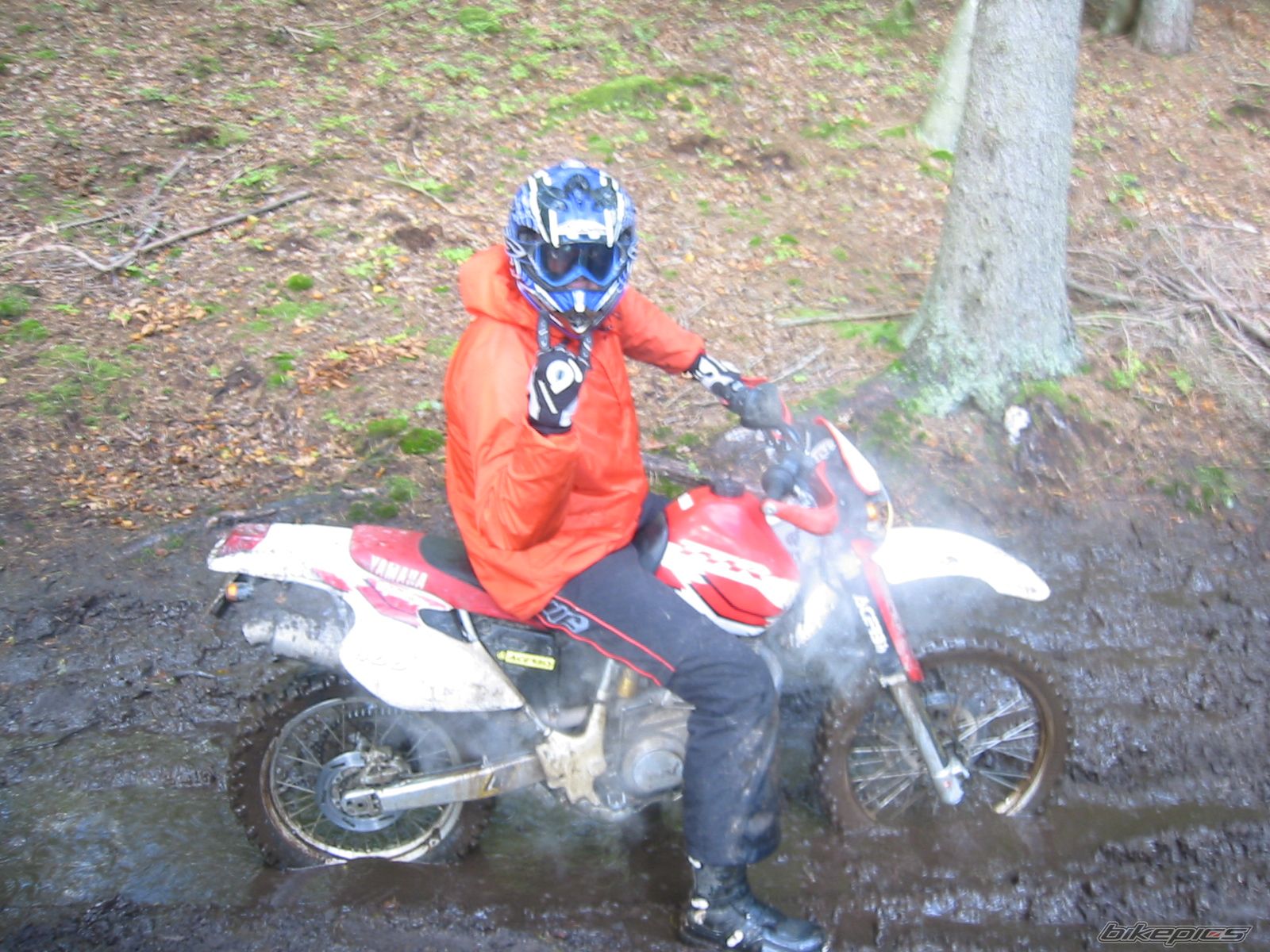 Photo 1025844
