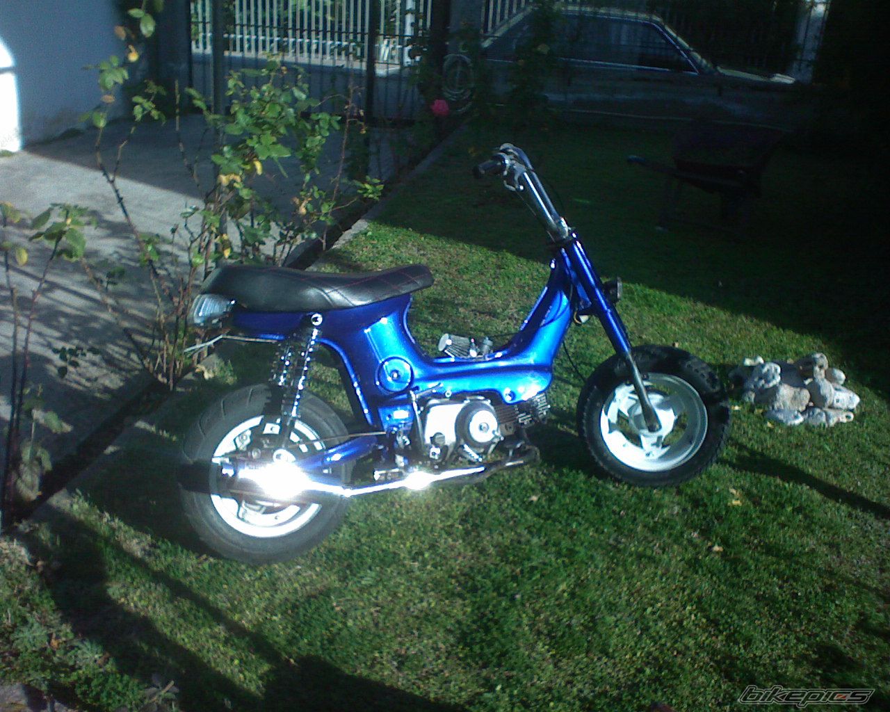 Photo 1025966