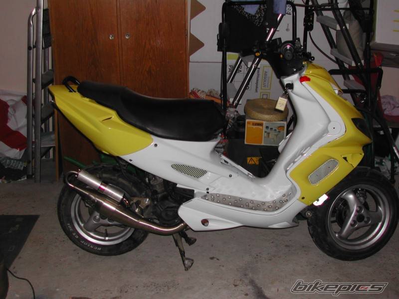 Photo 102597