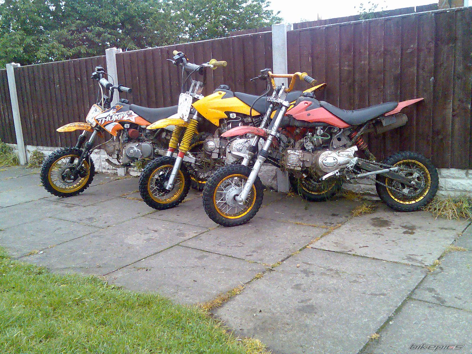 Photo 1026005