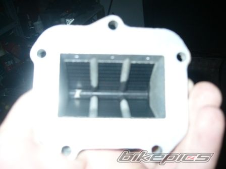 Photo 1026028