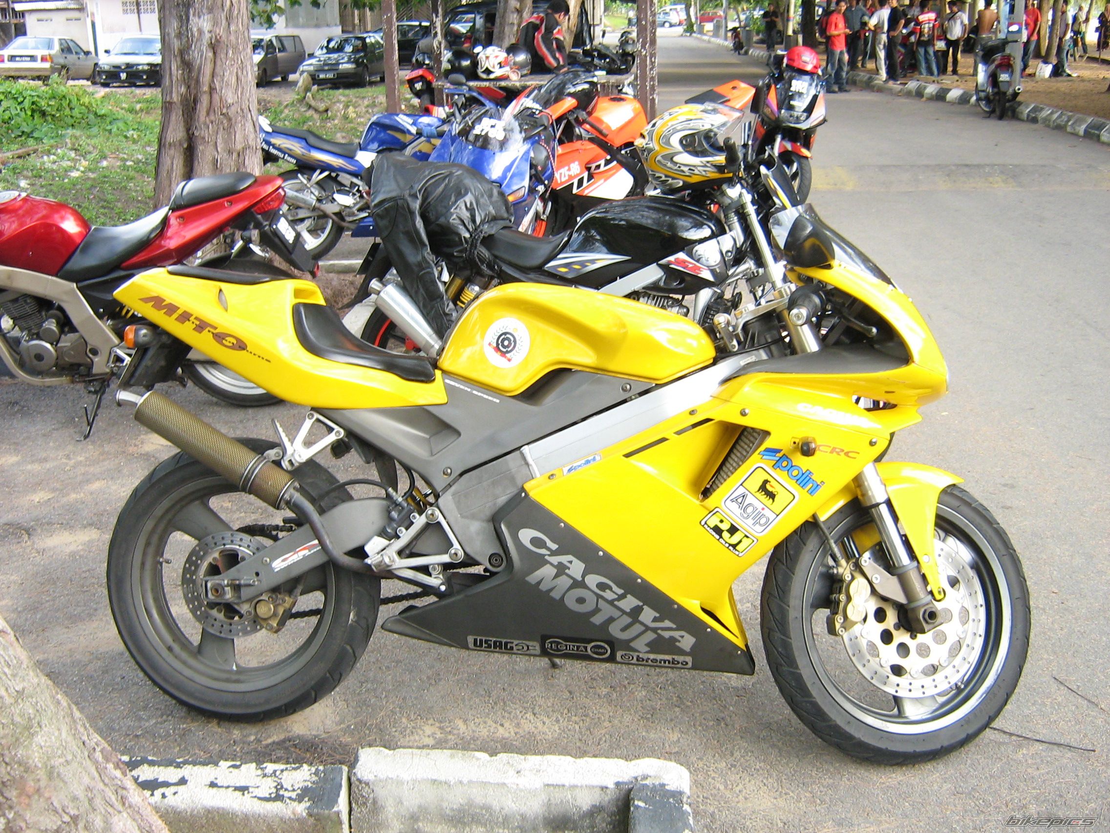 Photo 1026359
