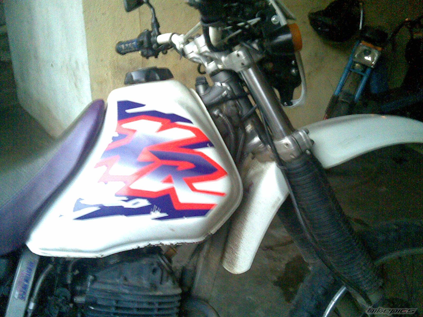 Photo 1026384