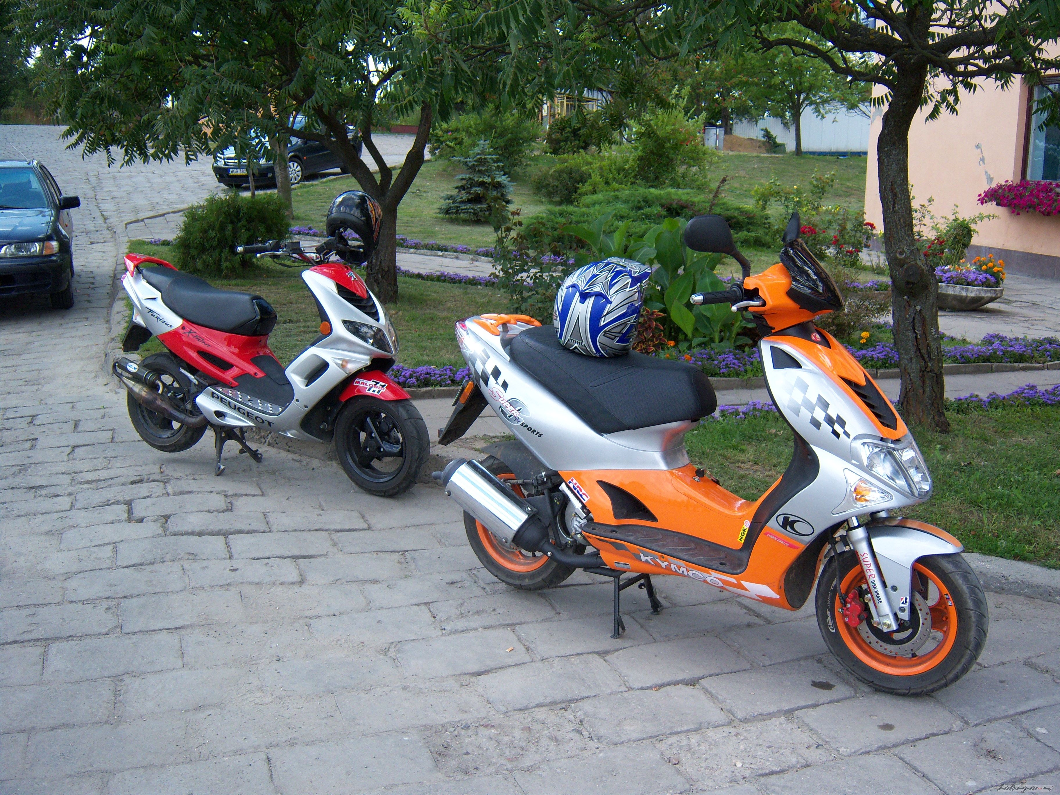 Photo 1026391