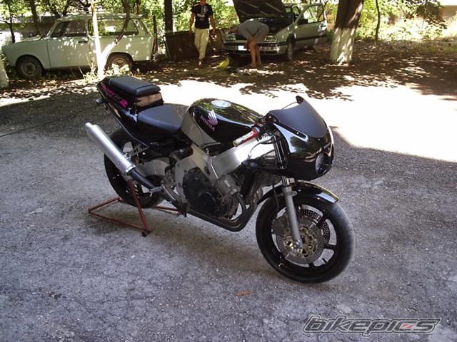 Photo 1026403
