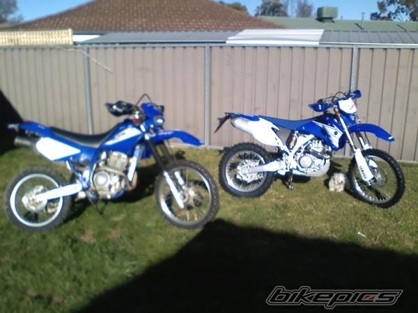 Photo 1026450