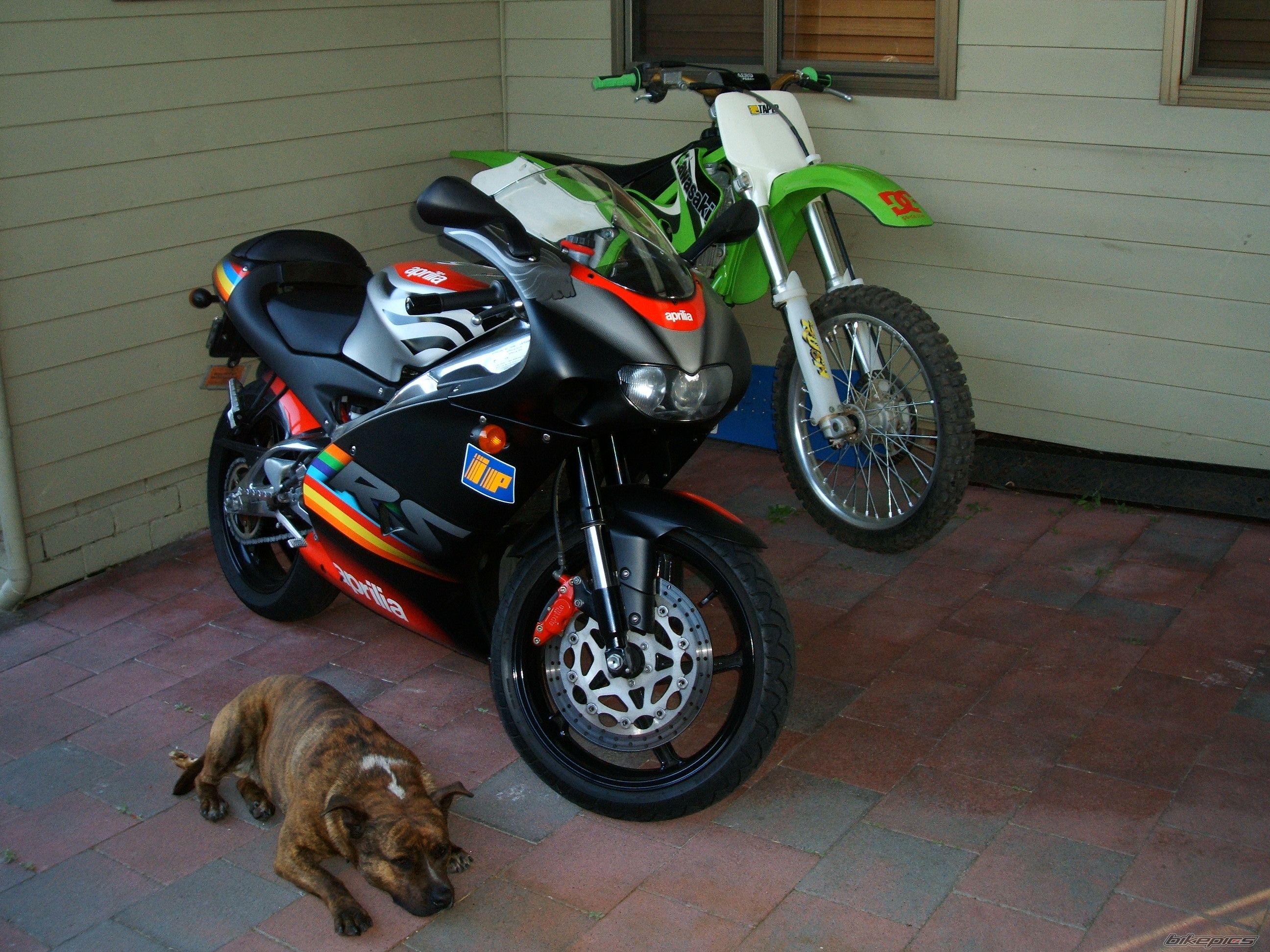Bike Photo 1026505