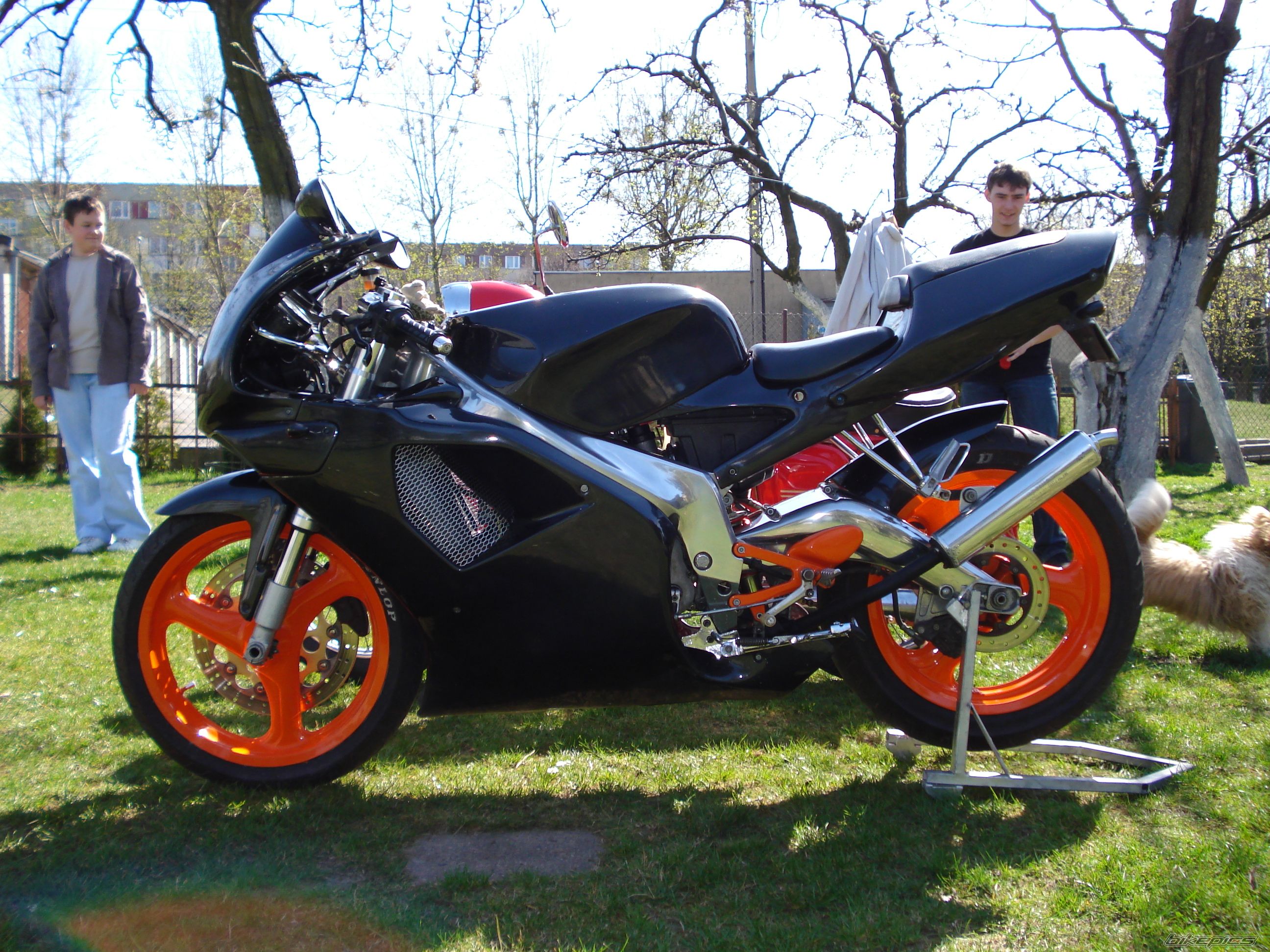 Photo 1026520