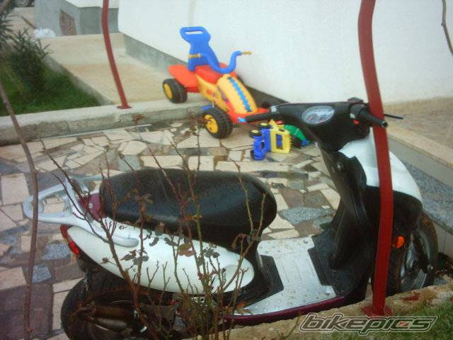 Photo 102665