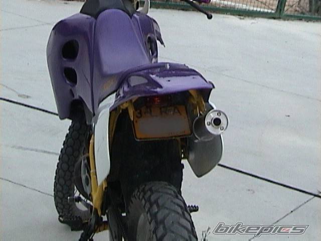 Photo 102666