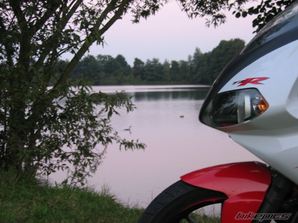 Photo 1026881