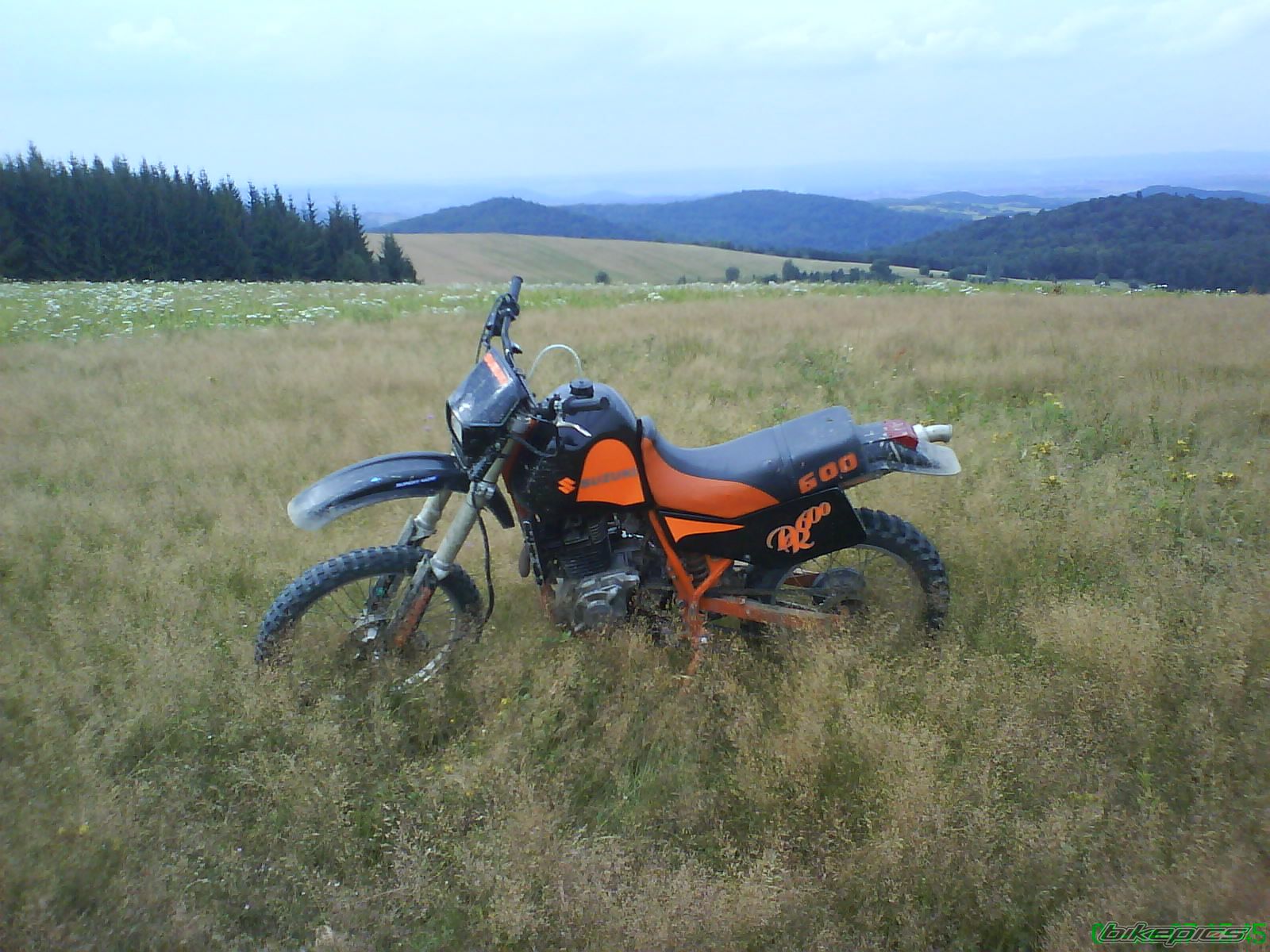 Photo 1026955