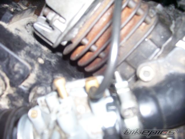 Photo 1027136