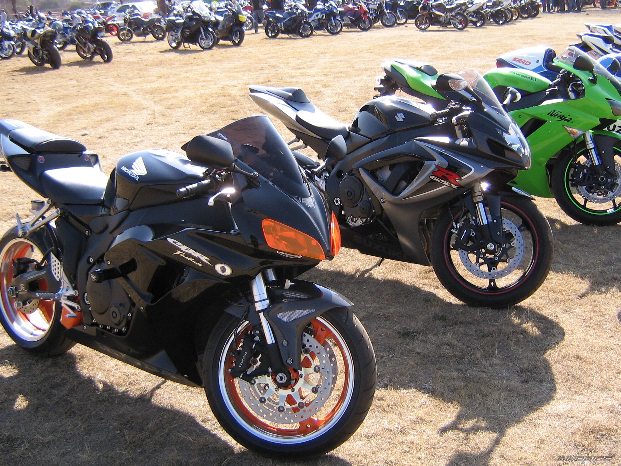 Photo 1027384
