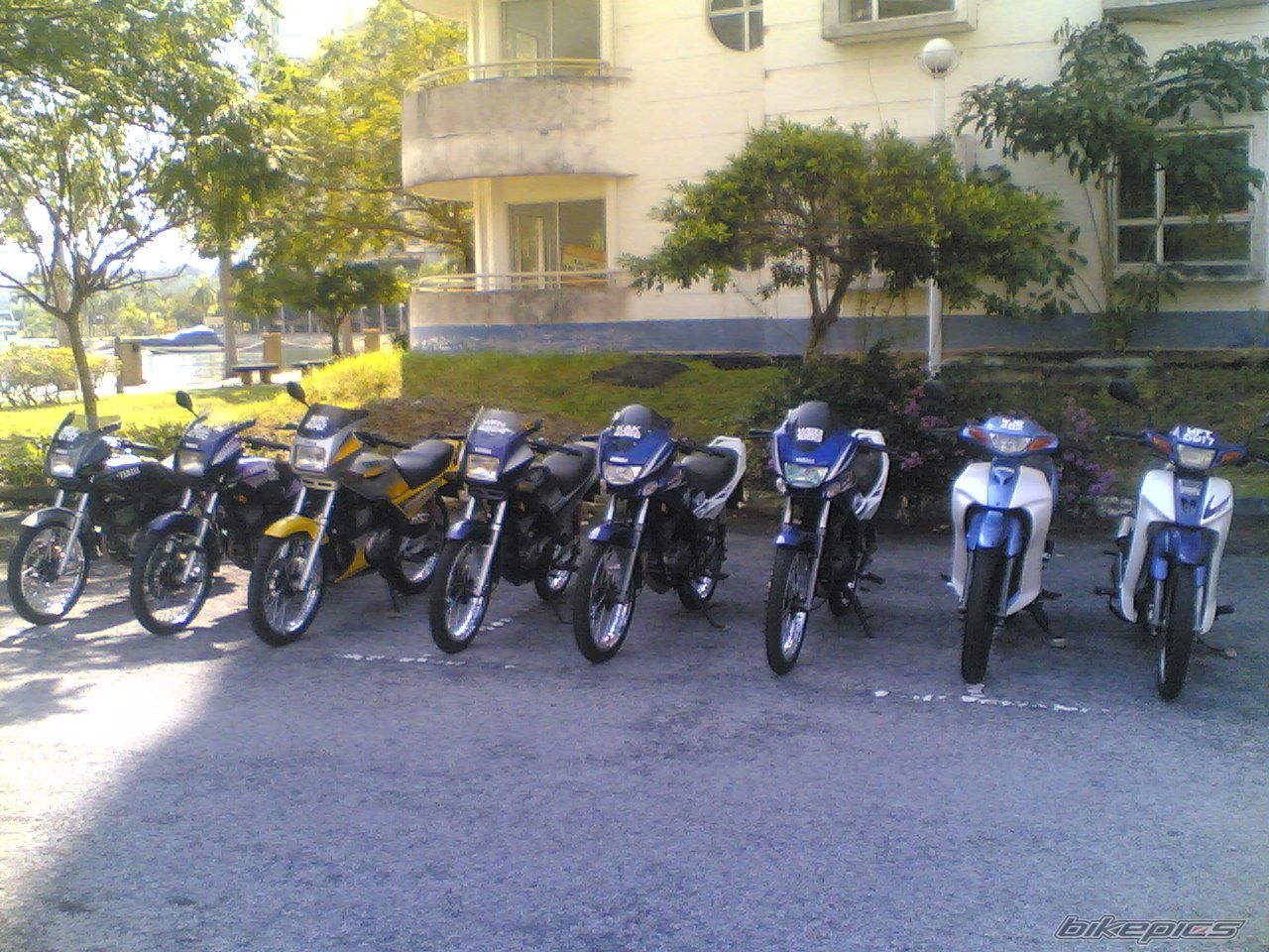Photo 1027818