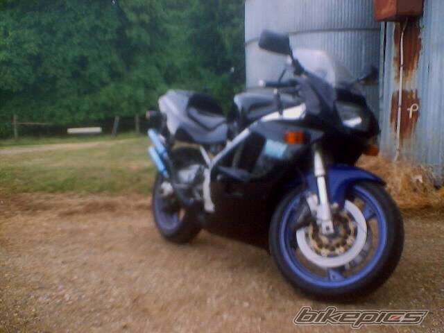 Photo 102782