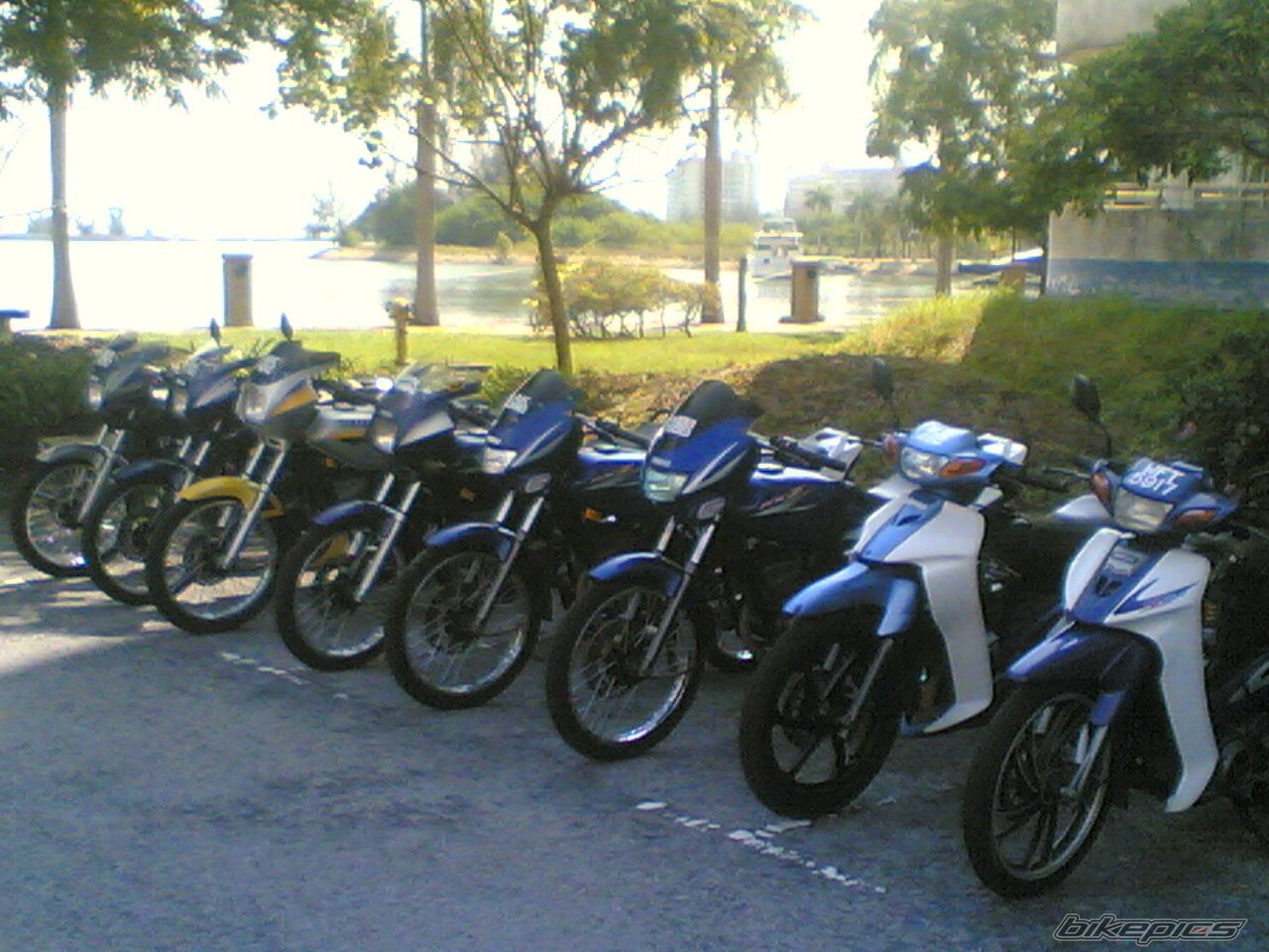 Photo 1027823