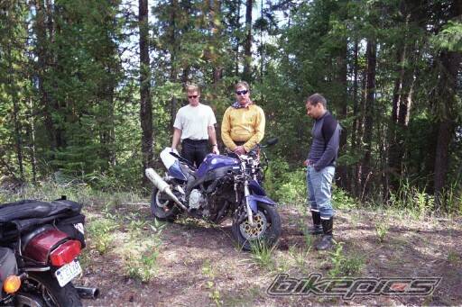 Photo 102786