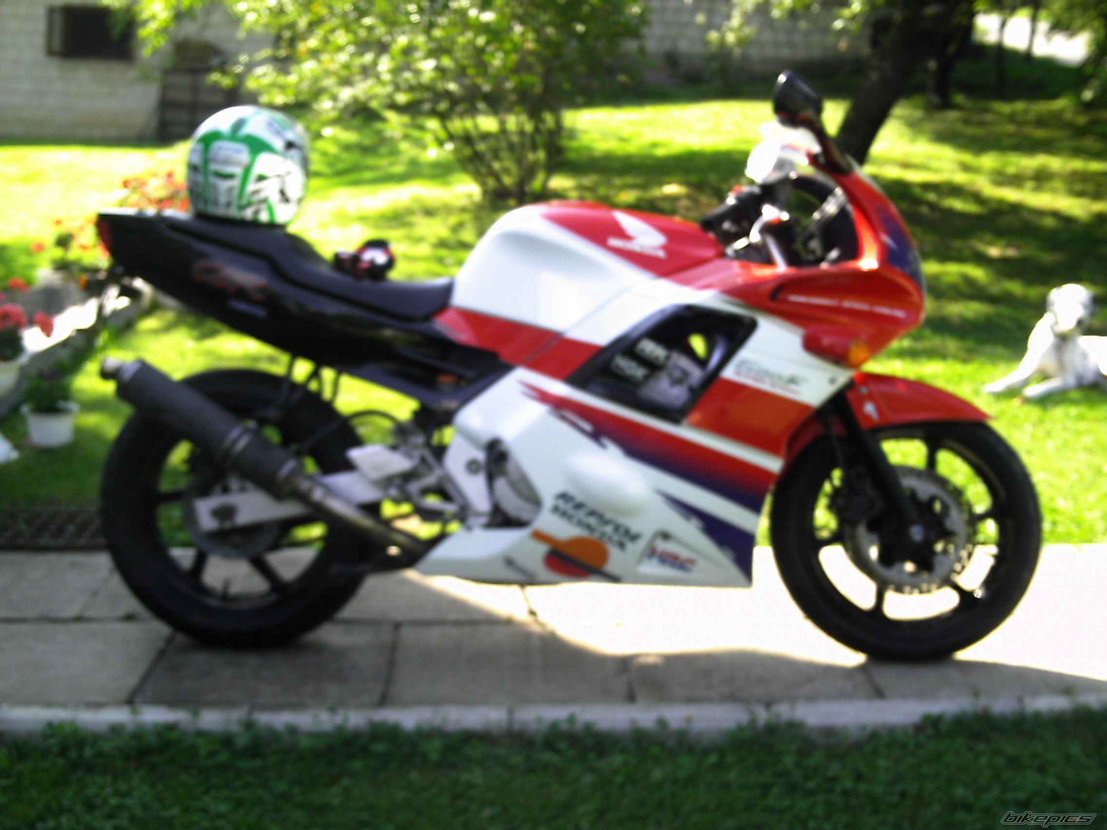 Photo 1027879