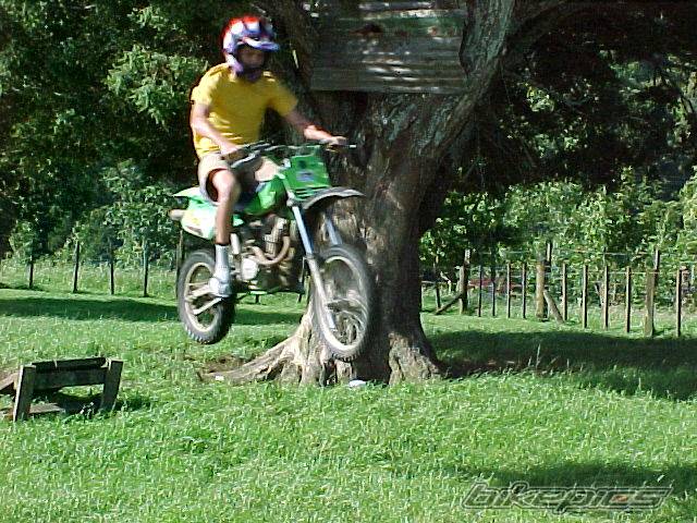 Photo 102802