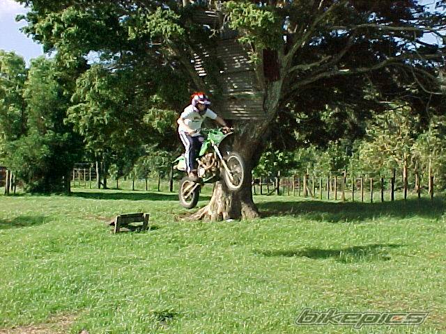 Photo 102803