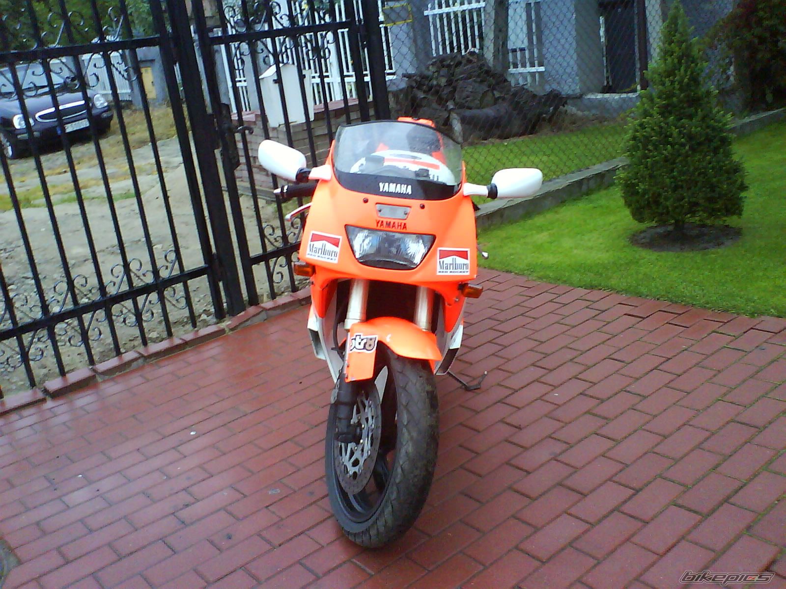 Photo 1028031
