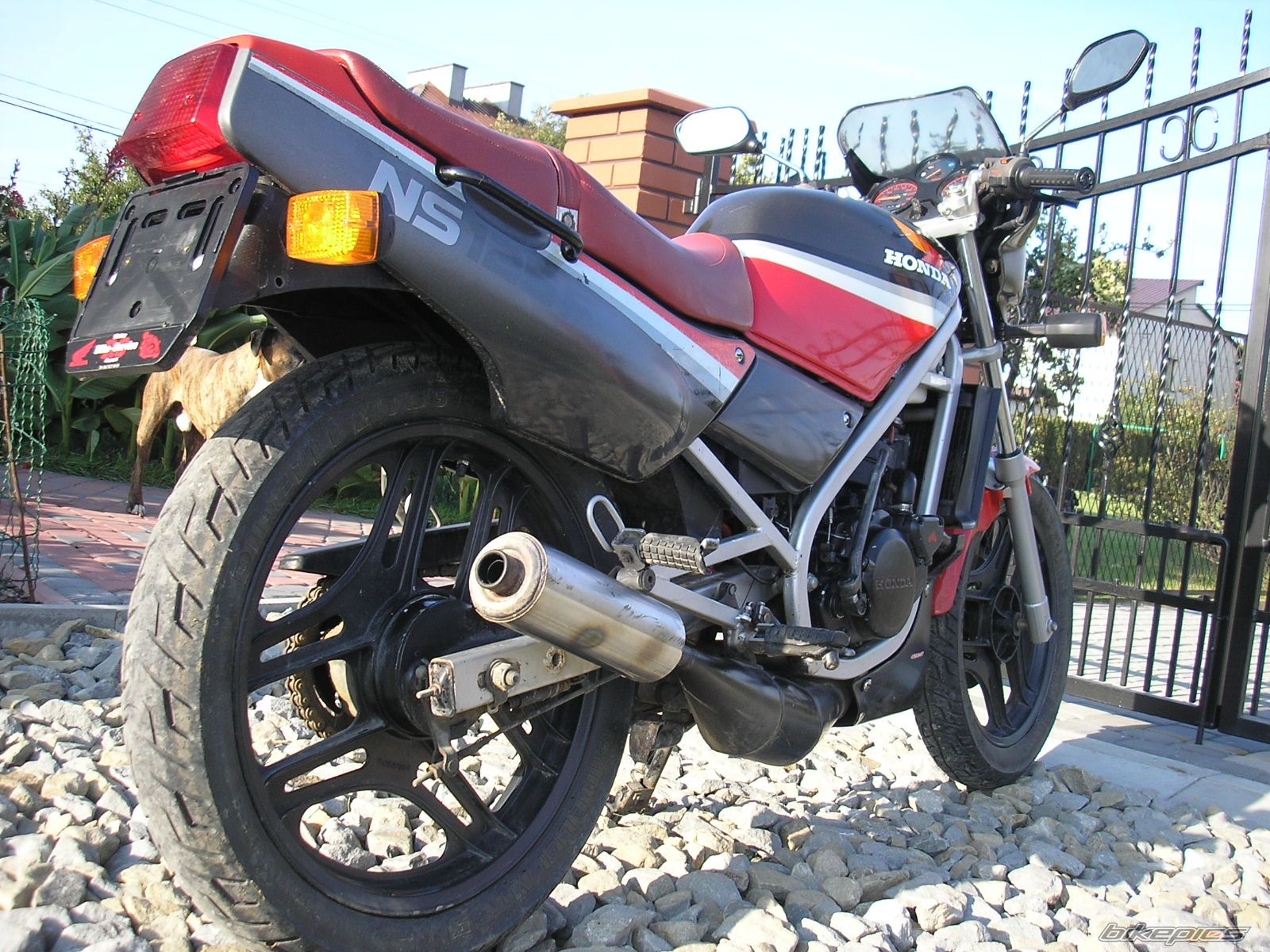 Photo 1028064
