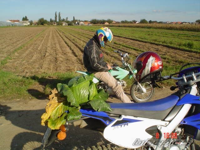 Bike Photo 1028072