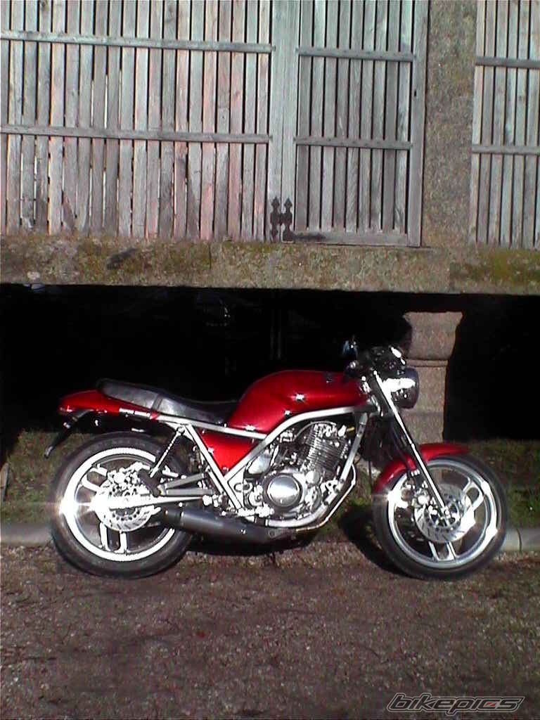 Photo 1028076