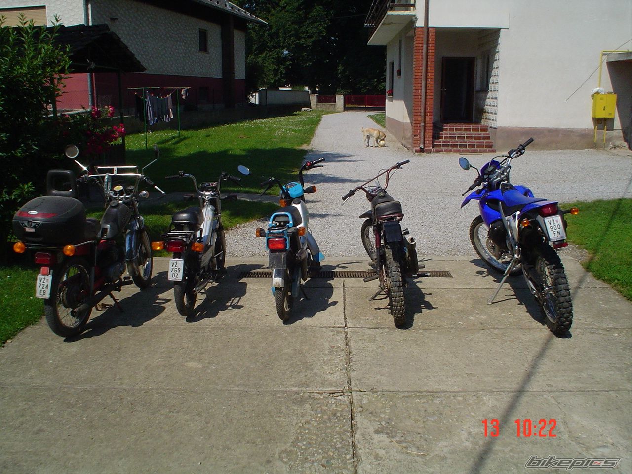 Photo 1028099
