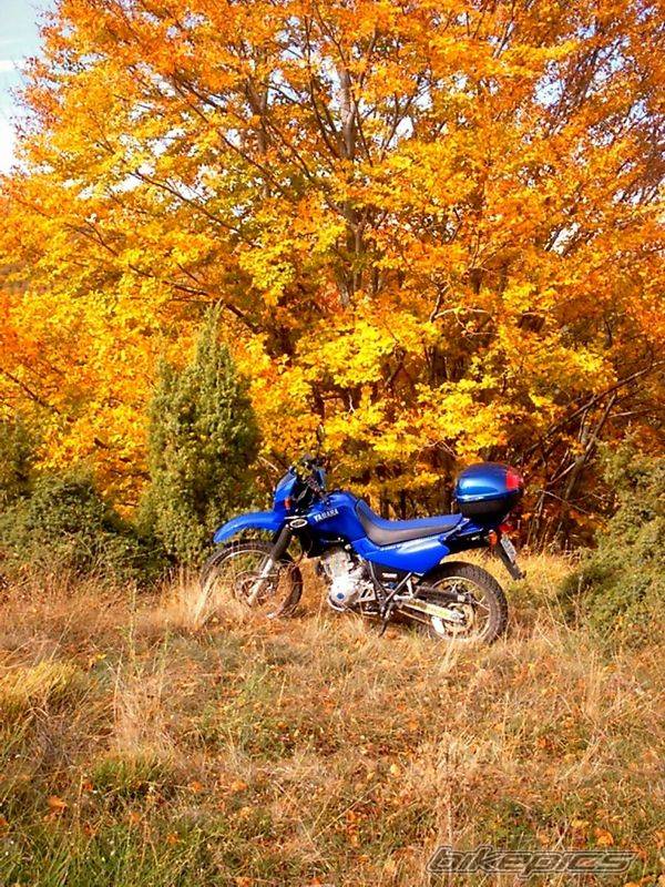 Bike Photo 102811