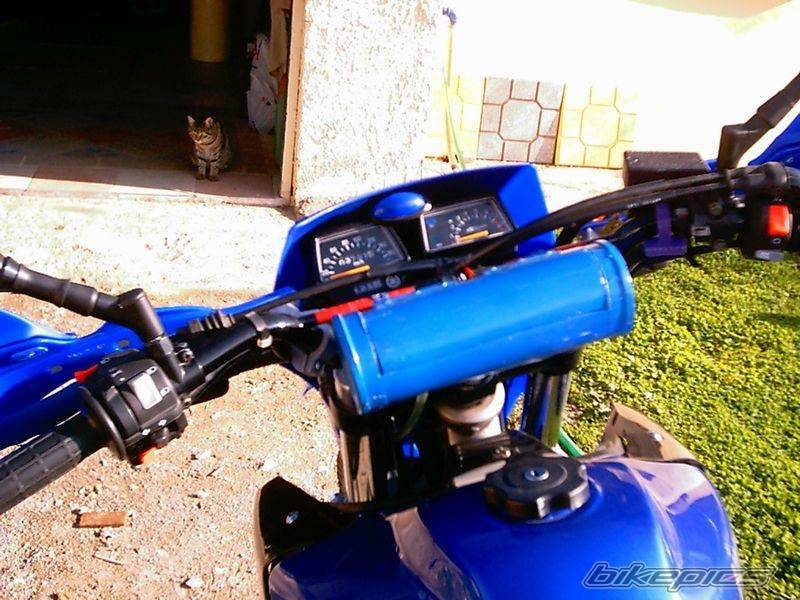 Photo 102812