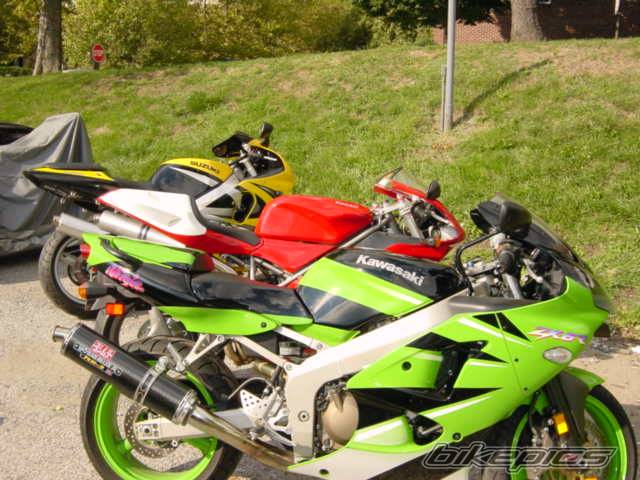 Photo 10282